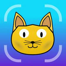 Findcat.io